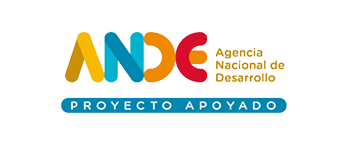 ANDE